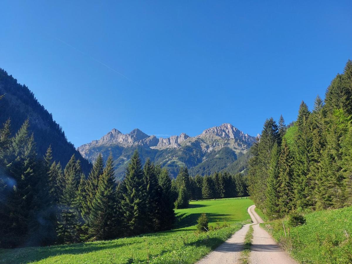 Alpenglück *