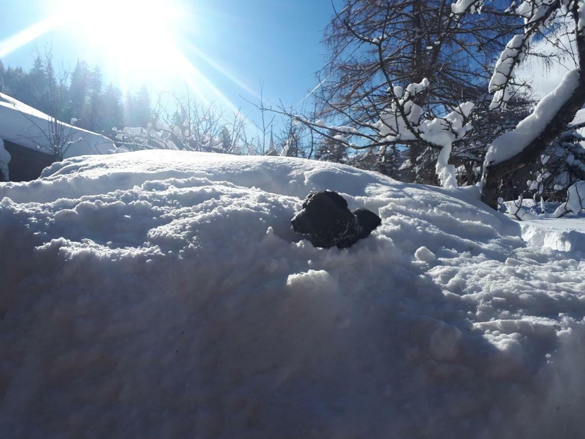 Alpenglück * Gaicht